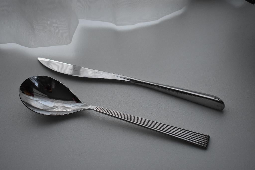 Wedgwood Regent slalepel en onbekend model mes, Ophalen of Verzenden, Gebruikt, Rvs of Chroom, Los bestek