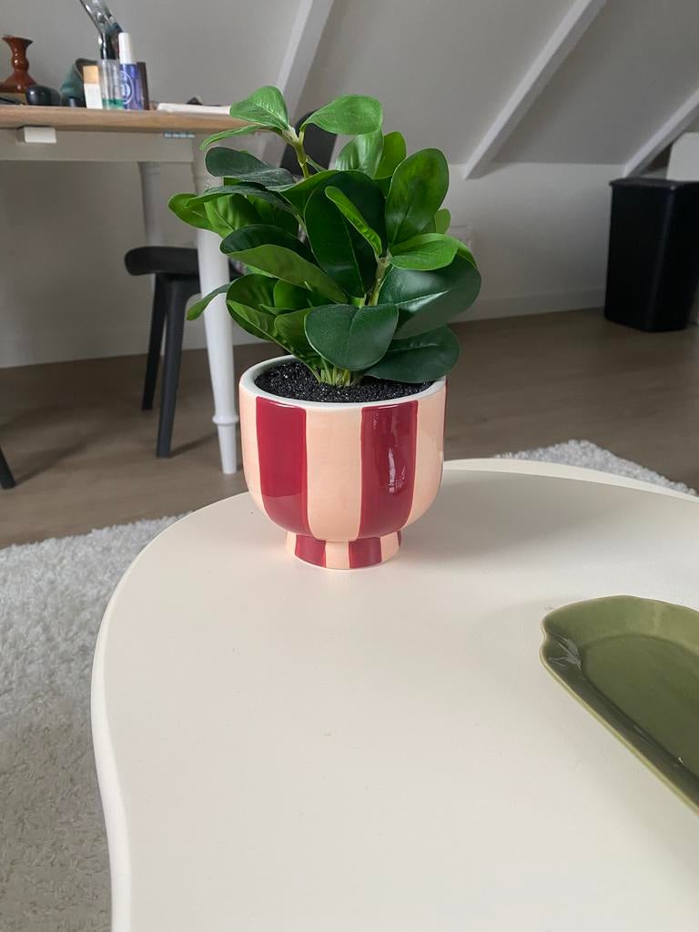 Kunstplant rood/roze pot, Vacatures, 33 - 40 uur, Overige niveaus, Overige vormen