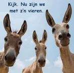 Mooie postr, Dieren en Toebehoren, Overige Dieren, Maart, Geslacht onbekend