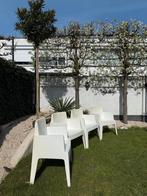 Box stapelstoelen tuinstoelen, Ophalen, Gebruikt, Kunststof, Stapelbaar