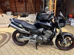 Honda CB900F Hornet te koop, Motoren, Motoren | Honda, 4 cilinders, Particulier, Meer dan 35 kW, 919 cc