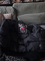 Moose knuckles jas, Zwart, Moose knuckles, Ophalen of Verzenden, Gedragen