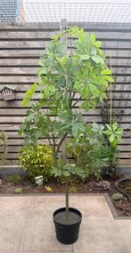 IKEA kunstplant voor binnen en buiten, Ophalen, Overige soorten, Halfschaduw, In pot