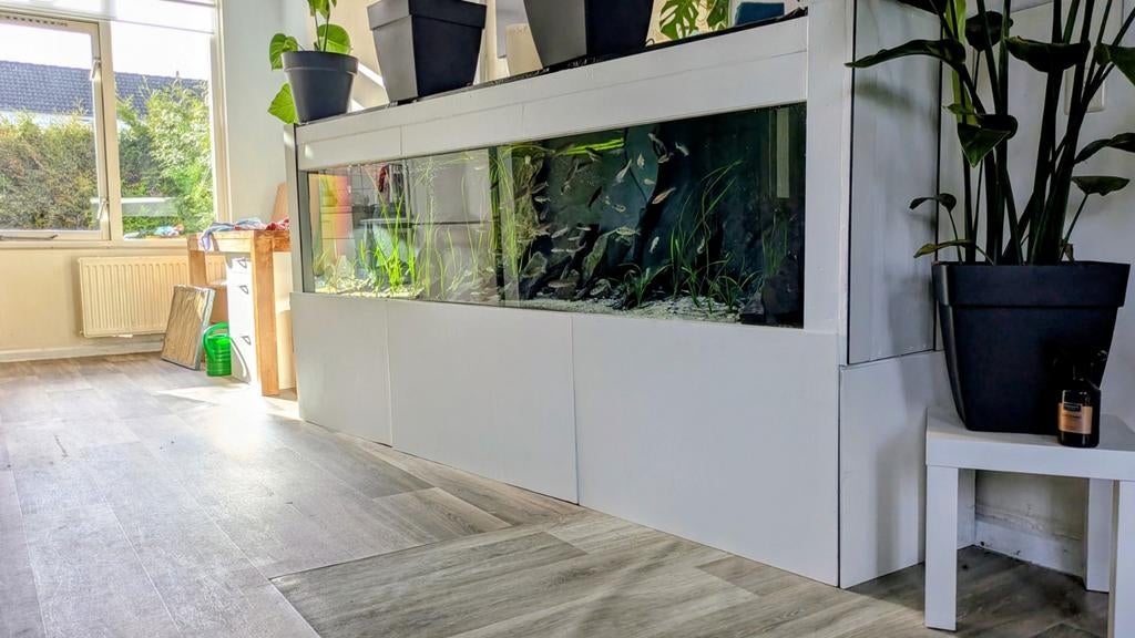 Uniek en groot design aquarium 245 cm., Dieren en Toebehoren, Ophalen, Zo goed als nieuw, Leeg aquarium