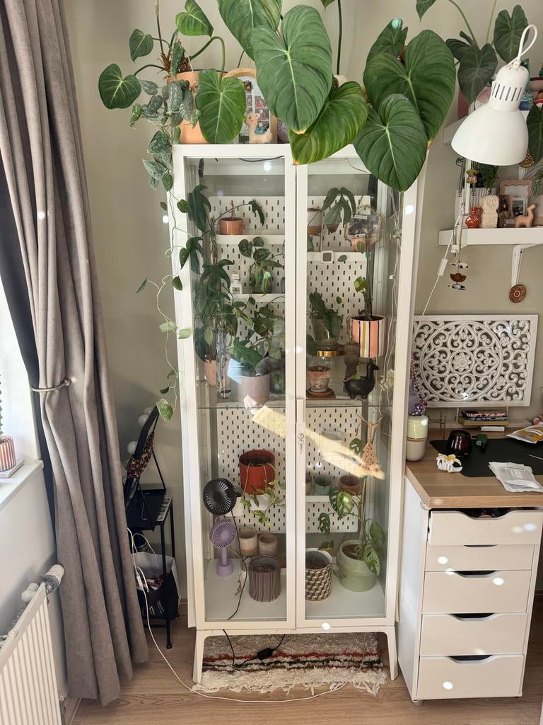 Witte Milsbo kast, Ophalen, Gebruikt