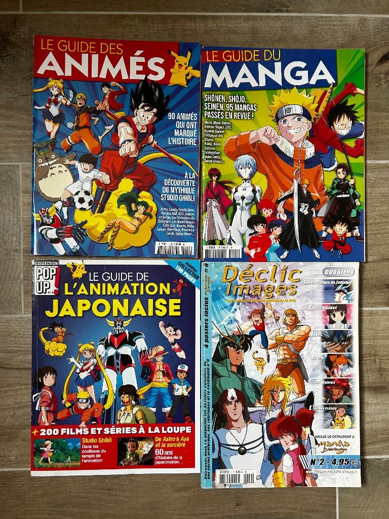 Franse Manga en Anime magazines, Boeken, Ophalen of Verzenden, Zo goed als nieuw, Overige typen