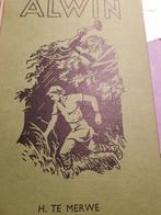 H.te Merwe/Alwin de Koopmansslaaf, Antiek en Kunst, Ophalen of Verzenden, H.te Merwe