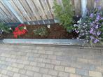 Schuttingpaal beton, Tuin en Terras, Ophalen of Verzenden, Zo goed als nieuw, Overige materialen, Minder dan 3 meter