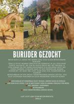 Bijrijder gezocht!, Ophalen of Verzenden, Zo goed als nieuw