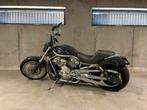 Harley Davidson Vrod Vrsca 2005 - Custom Chopper, Chopper, Particulier, Meer dan 35 kW, LED Verlichting