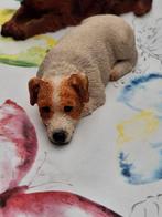 Foxhond, Ophalen of Verzenden, Nieuw, Dier