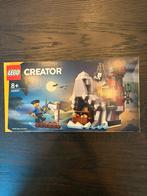 Lego creator griezelig pirateneiland 40597, Ophalen of Verzenden, Zo goed als nieuw, Complete set, Lego