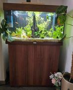 Mooi Juwel Rio 125 liter aquarium 80 cm, Ophalen of Verzenden, Zo goed als nieuw, Leeg aquarium