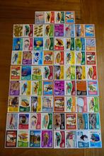 AH plaatjes - terug naar de Dino's met Freek, Verzamelen, Albert Heijn, Ophalen of Verzenden