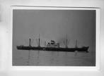 scheepvaart-foto-tosan maru 1938, Ophalen of Verzenden, Zo goed als nieuw, Motorboot, Boek of Tijdschrift