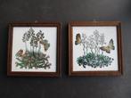 Tegelschilderijtjes met vlinder en houten omlijsting (retro), Antiek en Kunst, Curiosa en Brocante, Ophalen of Verzenden
