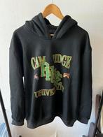 Rhude university hoodie, Kleding | Heren, Truien en Vesten, Ophalen of Verzenden, Nieuw, Zwart