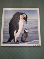 Rolf Puzzel Pinguïn - Nieuw, 2 tot 4 jaar, 10 tot 50 stukjes, Nieuw, Ophalen of Verzenden