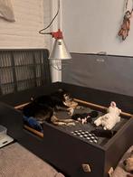 Puppyset compleet: werpkist, rennen en zindelijkheidsset, Dieren en Toebehoren, Ophalen of Verzenden