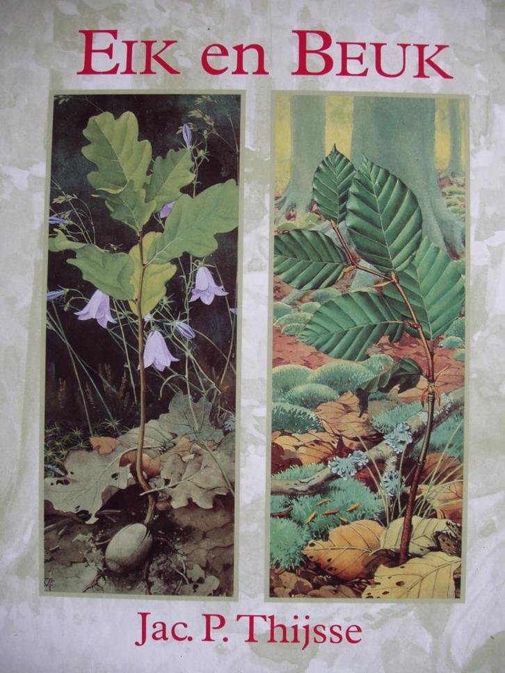 Eik en Beuk. Jac. P. Thijsse, Boeken, Natuur, Zo goed als nieuw, Bloemen, Planten en Bomen, Ophalen of Verzenden