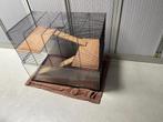 Kooi knaagdieren hamster cavia ratjes, Dieren en Toebehoren, Knaagdieren en Konijnen | Hokken en Kooien, Ophalen, Kooi, 60 tot 90 cm
