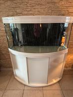 Aqaurium aquatlantis, Ophalen, Gebruikt, Leeg aquarium