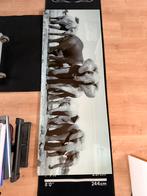 Wanddecoratie glas olifant, Ophalen, Zo goed als nieuw