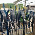 Diverse tuigonderdelen, Dieren en Toebehoren, Ophalen, Overige soorten