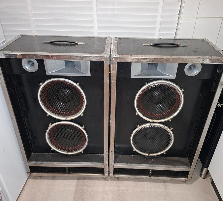 Krachtige PA speakerset ideaal voor carnaval, Audio, Tv en Foto, Luidsprekers, Zo goed als nieuw, Front, Rear of Stereo speakers