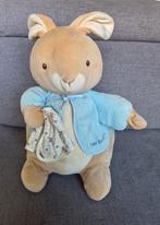 Peter Rabbit grote zachte knuffel, Kinderen en Baby's, Speelgoed | Knuffels en Pluche, Ophalen of Verzenden, Konijn