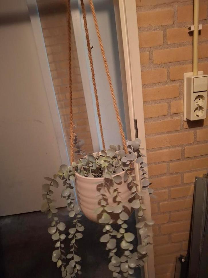 4x Ikea Nep Hangplanten met pot aan touw, Tuin en Terras, Bloempotten, Overige materialen, Minder dan 40 cm, Minder dan 25 cm