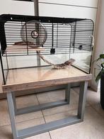 Knaagdier kooi hamster muizen kooi dieren glas nieuwstaat, Kooi, Minder dan 75 cm, Zo goed als nieuw, Hamster