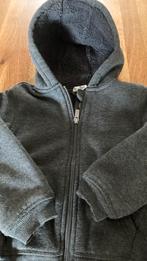 Vestje Hema maat 110/116, Ophalen of Verzenden, Gedragen, Overige maten, Grijs
