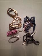 Diverse halsters, Ophalen, Zo goed als nieuw, Overige soorten