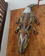 Opblaasbare krokodil groot zwembad, Ophalen of Verzenden, Zo goed als nieuw