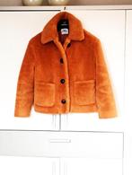 Teddy dames jas van ZARA, maat XS en bijna niet gedragen!!!, Ophalen of Verzenden, Gedragen, Maat 34 (XS) of kleiner, Bruin