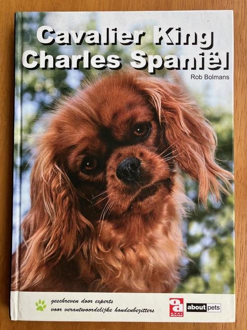 Cavalier King Charles Spaniêl - Rob Bolmans, Boeken, Dieren en Huisdieren, Gelezen, Honden, Verzenden