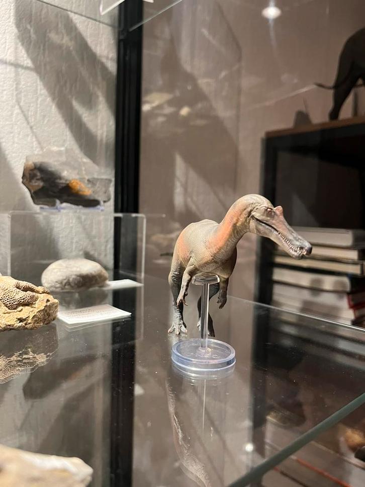 PNSO Baryonix 1:35 model, Verzamelen, Poppetjes en Figuurtjes, Zo goed als nieuw, Ophalen of Verzenden