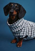 Honden fleece truitje, Dieren en Toebehoren, Hondenkleding, Ophalen of Verzenden, Nieuw