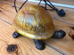 Lief lampje schildpad met spoed op te halen teab!, Ophalen