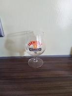 Verschillende soorten Heineken bierglazen, Ophalen of Verzenden, Nieuw, Glas of Glazen, Heineken