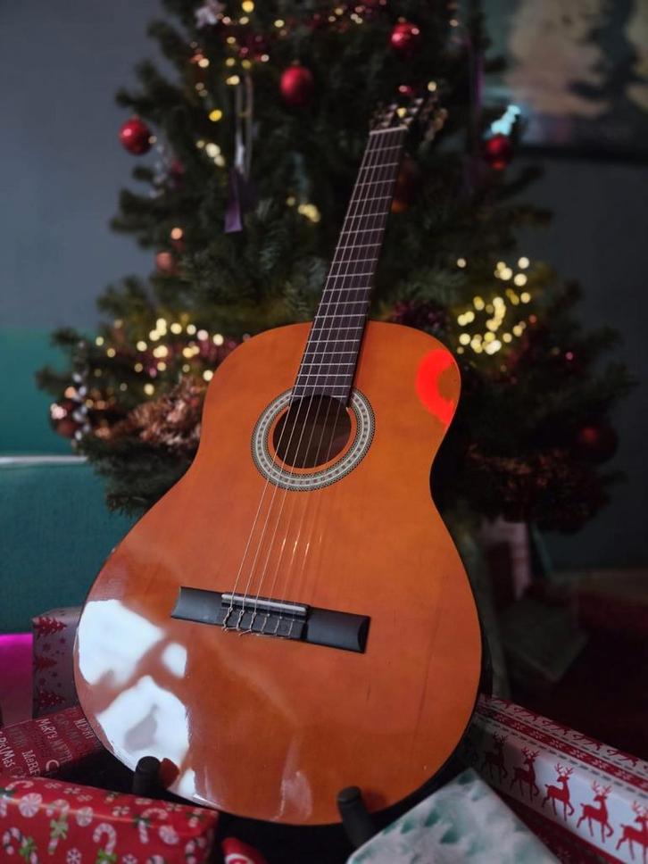 Akoestische Sheffield gitaar, Muziek en Instrumenten, Snaarinstrumenten | Overige, Zo goed als nieuw, Ophalen