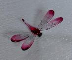Roze glazen libelle - decoratie, Ophalen of Verzenden