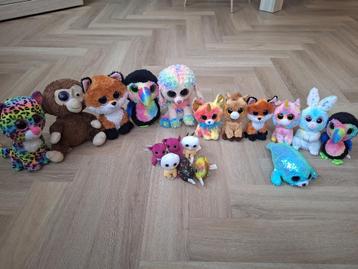Diverse TY knuffels, mini, klein en groot formaat beschikbaar voor biedingen