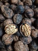 WALNOTEN, Tuin en Terras, Ophalen, Minder dan 100 cm, Overige soorten, Lente