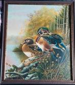 Schilderij 2 eenden aan de waterkant., Gebruikt, 50 tot 75 cm, Ophalen of Verzenden, Schilderij