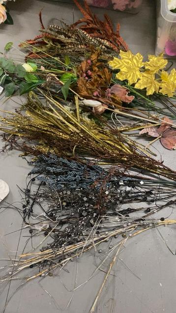 Partij kunst takken beschikbaar voor biedingen