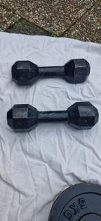 2x 6kg Dumbbell IJzer - Perfect voor Thuis Fitness, Ophalen, Gebruikt, Rug, Dumbbell