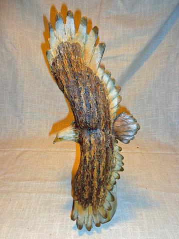 Adelaar/Bald Eagle beschikbaar voor biedingen