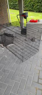 Bench, Ophalen, Zo goed als nieuw, 75 tot 110 cm, 65 tot 100 cm
